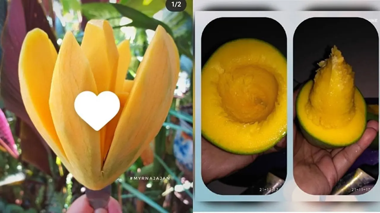 6 Ide Kreatif saat Kupas Mangga Ini Kelewat Unik, Kocak
