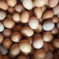 Jangan Dibilas, Begini Cara Tepat Bersihkan Telur Agar Tetap Awet dan Higienis (Instagram/@ig.basenk)