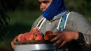 tetapi karena kekurangan buah persik, mereka hanya melakukannya selama empat minggu. (Joe Raedle/Getty Images/AFP)