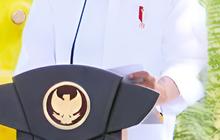 VIDEO: Istana Pastikan Jokowi Pecat Firli Bahuri dari Ketua KPK, Surat Sudah Dikirim