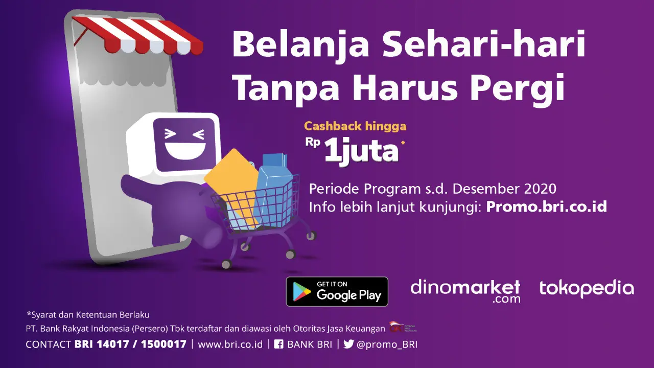 CERIA BRI