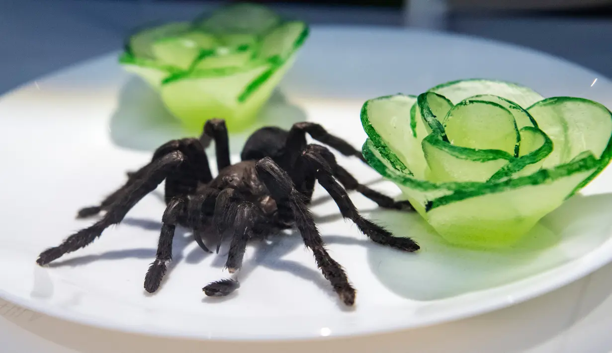 Tarantula goreng ditampilkan dalam Disgusting Food Museum atau Museum Makanan menjijikan di Malmo, Swedia, 4 November 2018. Pengunjung bisa mencium, menyentuh, dan mencicipi makanan di dunia yang dianggap menjijikkan. (Johan NILSSON/TT NEWS AGENCY/AFP)