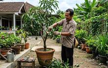 Cara Memangkas Tabulampot agar Panen Lebih Banyak dan Hasil Maksimal
