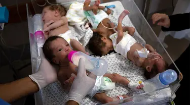 Petugas medis mempersiapkan bayi prematur untuk dibawa ke Mesir setelah mereka dievakuasi dari Rumah Sakit Al Shifa di Kota Gaza ke rumah sakit di Rafah, Jalur Gaza, Senin (20/11/2023). Layanan penyelamatan Bulan Sabit Merah Palestina mengatakan mereka mengevakuasi 28 bayi prematur melintasi perbatasan Mesir dalam sebuah operasi yang diselenggarakan dengan badan-badan PBB. (AP Photo/Fatima Shbair)