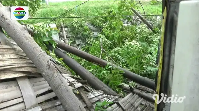 VIDEO: Truk Bermuatan Minyak Goreng Kemasan Terguling di Jalur Pantura Tuban