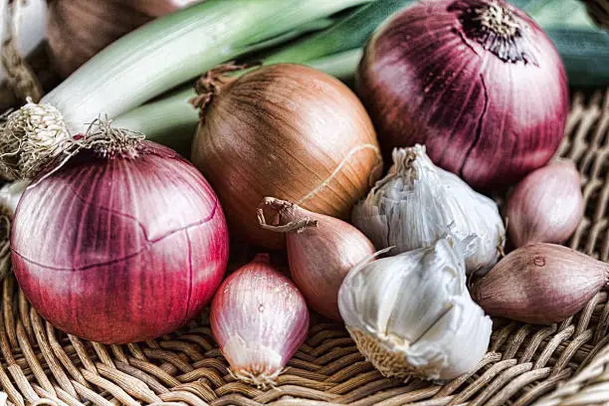 Mengenali Bau Badan dari Makanan