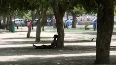 Seorang pria beristirahat di bawah pohon selama musim panas di New Delhi, India (10/6/2019). Kondisi gelombang panas yang parah menyapu bagian utara dan barat India dengan suhu maksimum melonjak hingga 48 derajat Celcius ( 118 F) di beberapa bagian Rajasthan. (AP Photo/Manish Swarup)