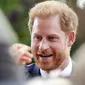 Pangeran Harry. (AP Photo/Martin Meissner)