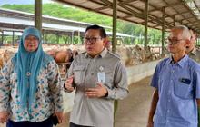 Kementan Jamin Stabilitas Harga Daging Sapi Jelang Natal dan Tahun Baru 2025/2026