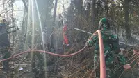 Kasus Kebakaran Hutan: 15 Korporasi Dibidik, 26 Izin Perusahaan Dibekukan