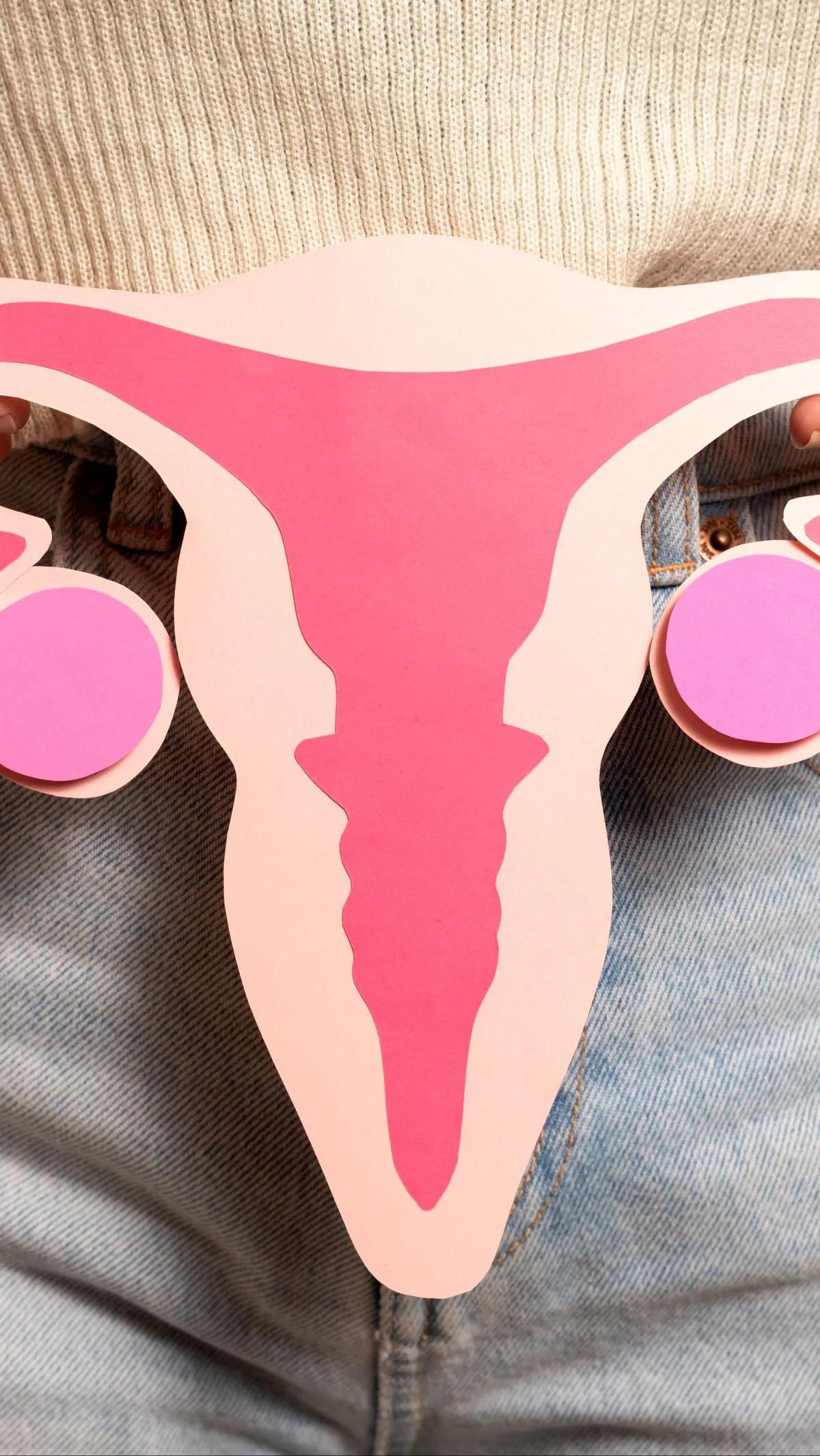 Namun, tidak semua cairan yang dikeluarkan oleh vagina menunjukkan keadaan yang normal.&nbsp;