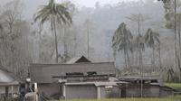 Warga memeriksa kerusakan di rumahnya di daerah yang terkena dampak letusan Gunung Semeru di Lumajang, Jawa Timur, Minggu (5/12/2021). Gunung Semeru memuntahkan kolom tebal abu, gas yang membakar dan lava menuruni lerengnya dalam letusan tiba-tiba yang dipicu oleh hujan lebat. (AP Photo/Trisnadi)