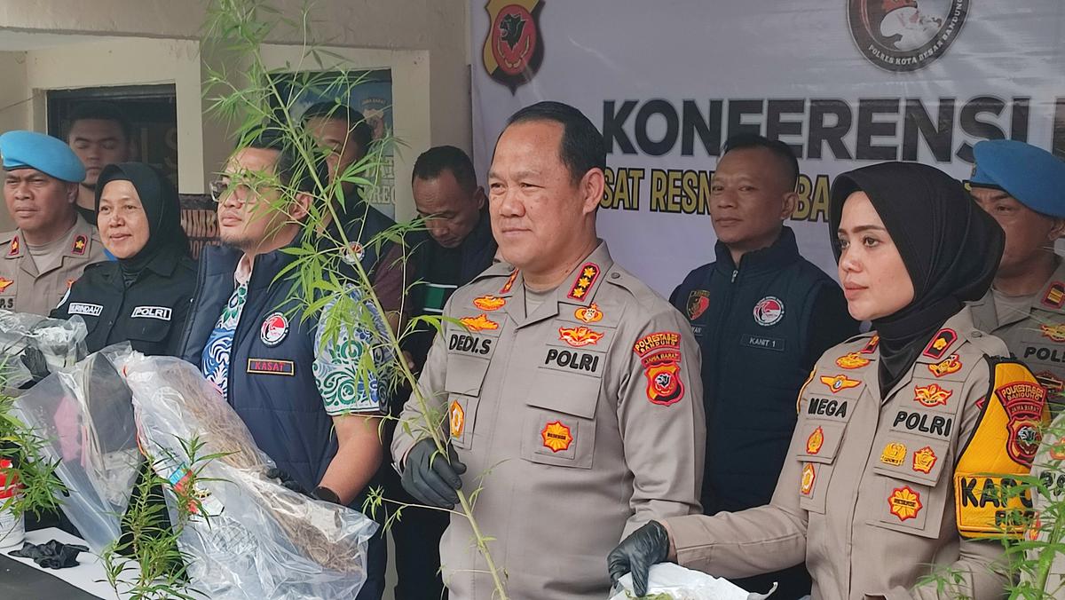 Konferensi pers kasus benih ganja di Polsek Regol. (merdeka.com/Azzura Galexia).