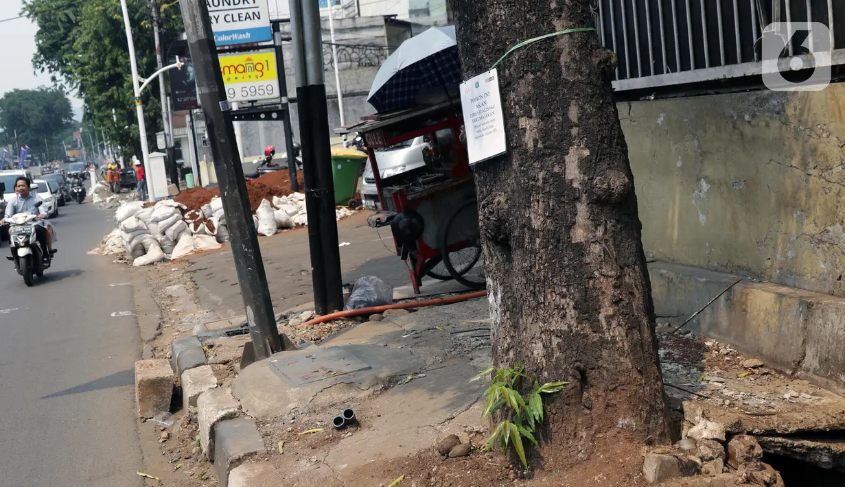 Penanda berlogo Pemprov DKI Jakarta terlihat di salah satu pohon yang akan direvitalisasi di Kawasan Kemang, Jakarta, Sabtu (9/11/2019). Sejumlah pohon akan direvitalisasi dan ditebang karena beberapa alasan salah satunya, posisinya dianggap merusak saluran. (Liputan6.com/Helmi Fithriansyah)