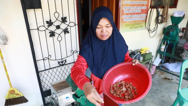 Pertamina EP Pendopo Field dan kelompok mitra binaan menggunakan ekstrak buah pinang sebagai korosi inhibitor dan mendorong ekspor pinang. (Dok PEP)