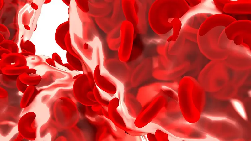 Fungsi Hemoglobin Dalam Darah