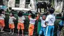 Sejumlah anak TK melihat gajah di Taman Marga Satwa Ragunan, Jakarta, Kamis (13/12). Kegiatan tersebut untuk mengajarkan anak-anak untuk lebih mengenal binatang-binatang. (Liputan6.com/Faizal Fanani)