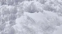 Dalam citra satelit, terlihat sebuah tangga raksasa di salah satu pegunungan Antartika. Siapa yang membuatnya?