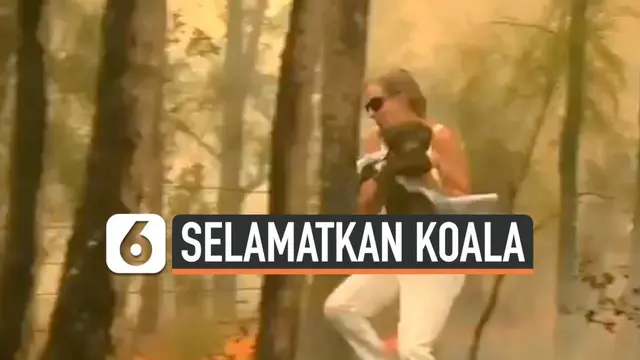 Seorang wanita rela mempertaruhkan nyawanya dengan cara menerobos kebakaran hutan Australia demi menyelamatkan seekor koala.