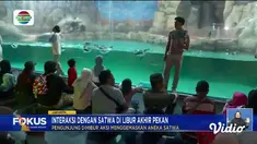 Perbarui informasi Anda bersama Fokus edisi (12/1) dengan pilihan topik-topik sebagai berikut, Banjir Bandang Terjang Permukiman, Air Laut Pasang Meluber ke Lapak Pedagang, Berwisata Sambil Interaksi dengan Satwa Laut.