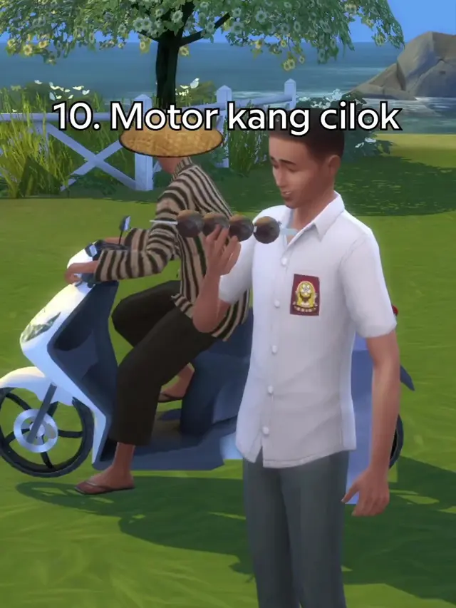 The Sims versi Lokal