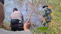 Belum Padam, Kebakaran di Taman Nasional Way Kambas Capai 673,4 Hektare