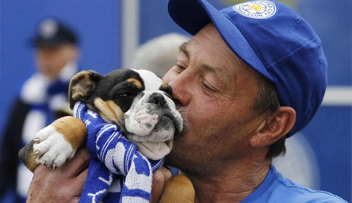 Keakraban suporter Leicester City dengan anjing kesayangannya saat merayakan gelar juara Liga Inggris, (3/5/2016). (Action Images via Reuters/Craig Brough)