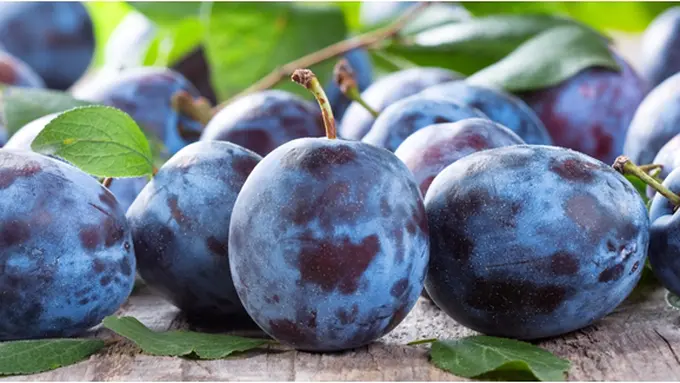 Courtesy ShutterStock.com