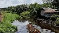 Sumber penghidupan masyarakat di sekitar lahan gambut di Kabupaten Kubu Raya, Kalimantan Barat. (Foto: Agus Dianto/Peneliti Muda Gambut, Kalimantan Barat)