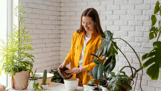Berkebun