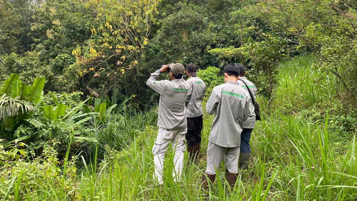 Patroli Senyap di Tahura Wan Abdul Rachman, Menjaga Burung dari Jerat Pemburu Liar