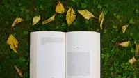 Ilustrasi Buku Credit: pexels.com/Annelis