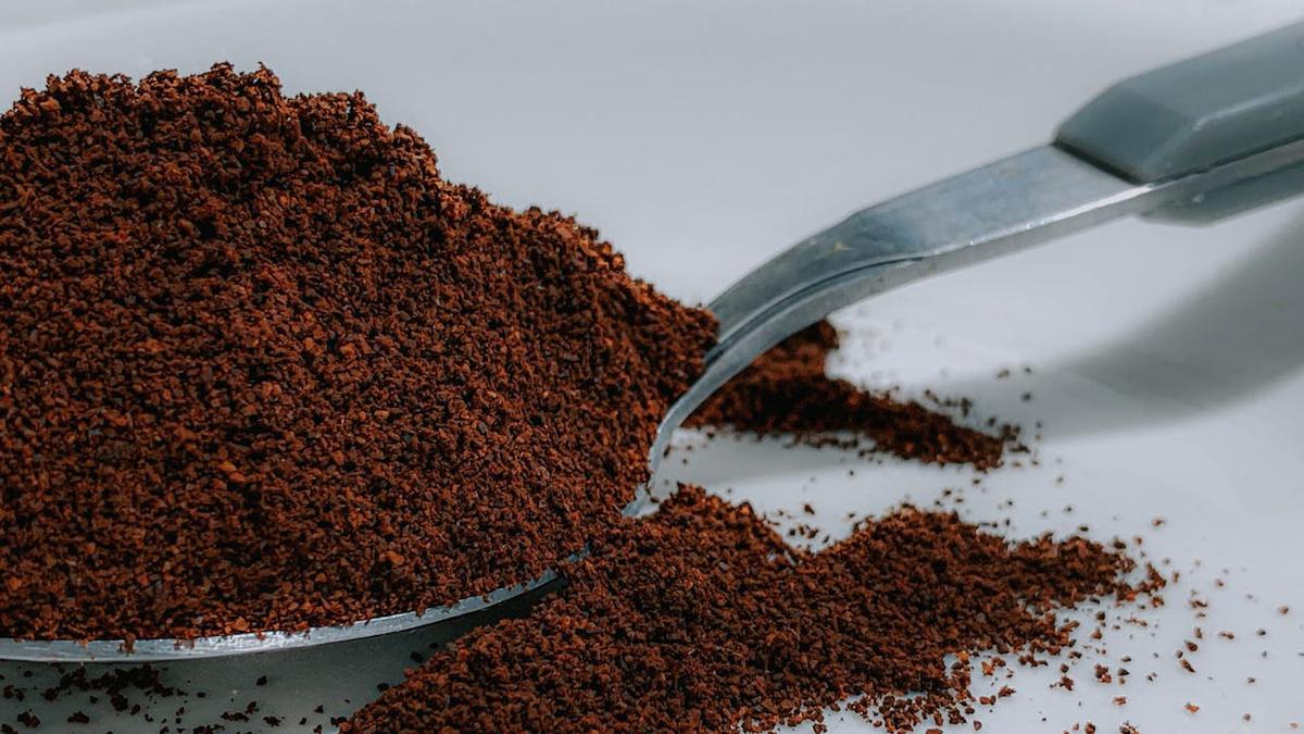 Sesendok bubuk kopi (Pexels)