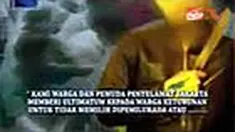liputan6