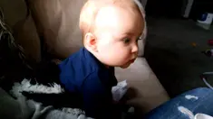 Lucunya memergoki seekor anak anjing yang diam-diam mencuri mainan seorang bayi.