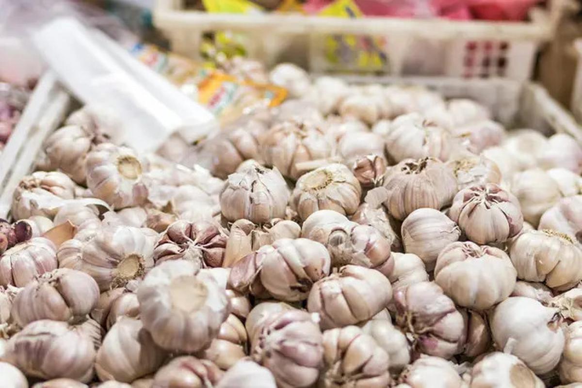 5 Cara Pakai Bawang Putih Selain untuk Memasak, Salah Satunya Bisa Meredakan Nyeri Sendi