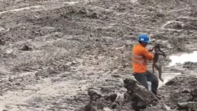 Nasib Miris Seekor Monyet Terpisah dari Kawanannya danTerkulai Lemas di Area Tambang Kalimantan Timur