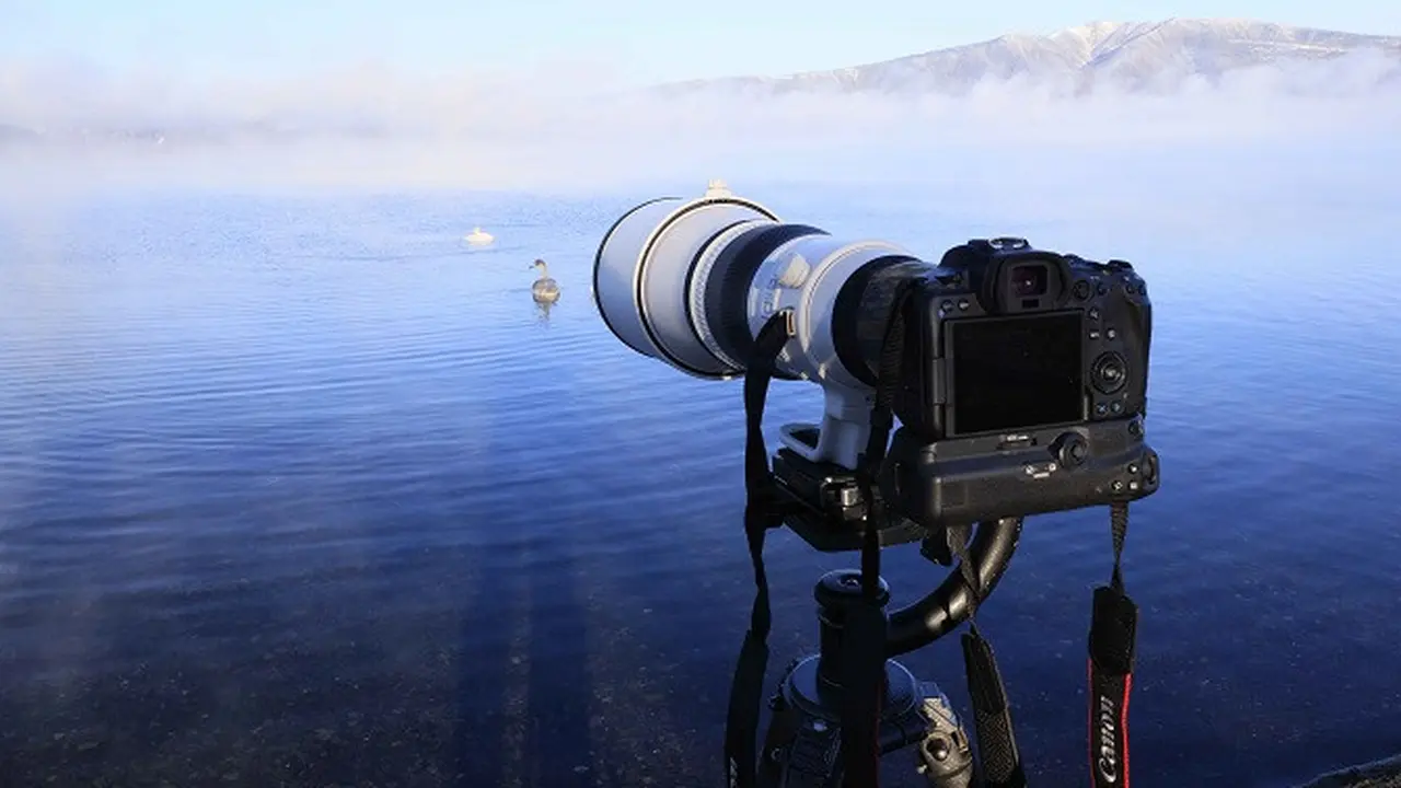Canon