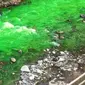 Perubahan warna itu tentu saja membuat warga di sekitar bantaran sungai panik, mengira sungai tersebut telah tercemar.