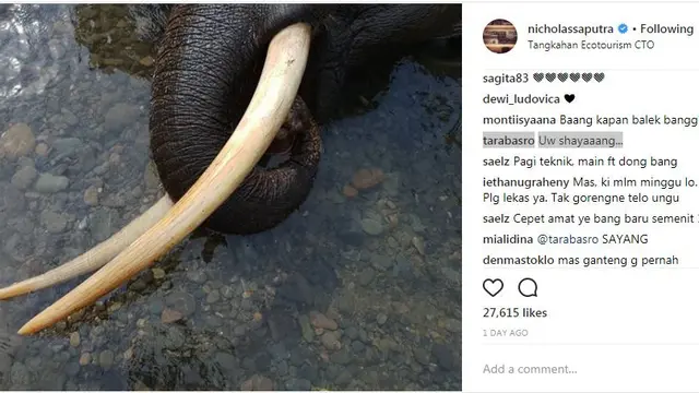 Nicholas Saputra