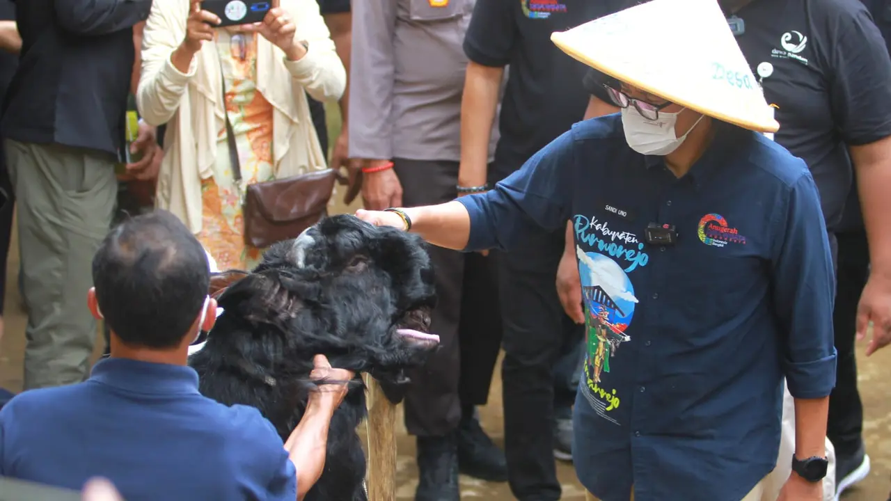 Sandiaga