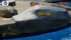 Ibu dan anak di Jepara, Jawa Tengah, ditemukan tewas tenggelam di kolam arus yang hanya berkedalaman 1 meter.
