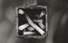 Tarif Cukai Dinilai Gagal Tekan Konsumsi Rokok, Aturan Ini Jadi Biang Kerok