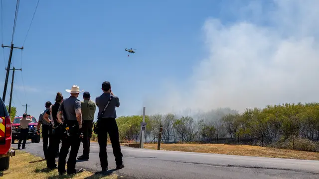 Kebakaran Hutan di Hawaii