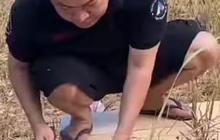Potret Merry Saat di Kampung Halaman Panen Kacang Hijau Sampai Bersihkan Makam Umum