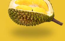 Efek Samping Ibu Menyusui Makan Durian yang Menarik Diketahui, Simak Ulasannya