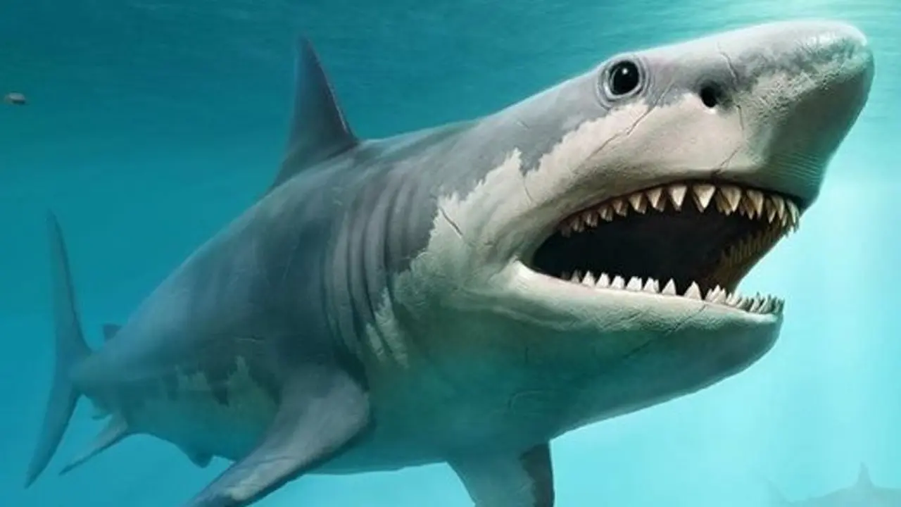 Jauh Lebih Ganas dari Hiu Putih, 7 Monster Laut Prasejarah Mengerikan