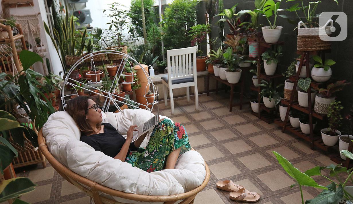 Tika Akmar (35) yang sehari-hari bekerja sebagai Brands Solutions Manager menyelesaikan pekerjaan di kediamannya kawasan Jatiwaringin, Bekasi, Rabu (15/07/2020). Tika mengoleksi dan merawat beragam tanaman hias untuk mengisi waktu luang pada masa pandemi COVID-19. (Liputan6.com/Herman Zakharia)