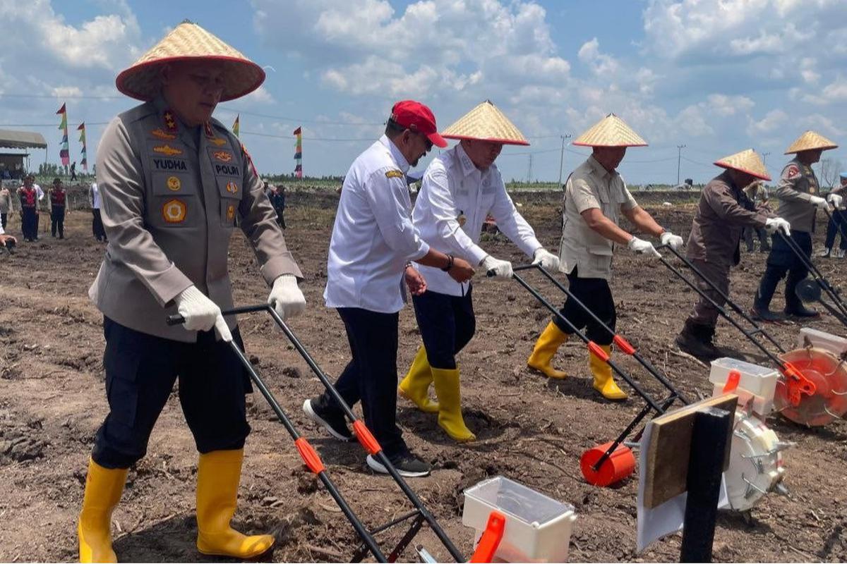 Gubernur Kalimantan Selatan, Muhidin melakukan tanam jagung serentak bersama Forkompida Kalsel