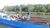 Gagalkan Peredaran 600 Kayu Ilegal di Kalbar, Upaya Pemerintah Lindungi Sumber Daya Alam
